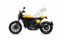 Todas las piezas originales y de repuesto para su Ducati Scrambler Full Throttle 803 2020.